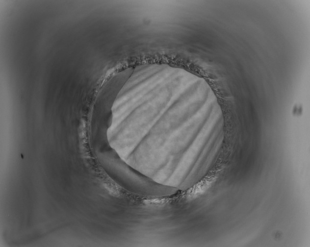 X0000098220192200805151326