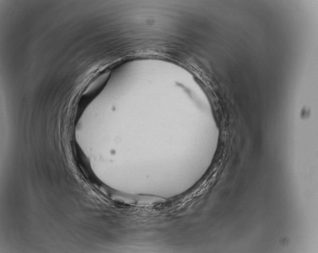 X0000098220193200805151325