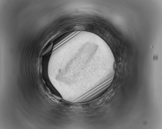 X0000098220194200805151325