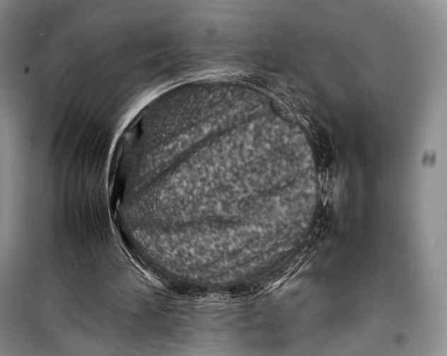 X0000098220196200805151325