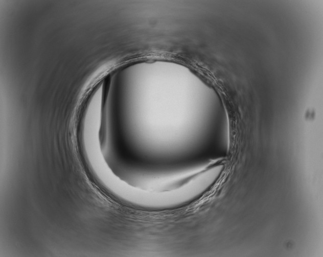 X0000098220197200805151325