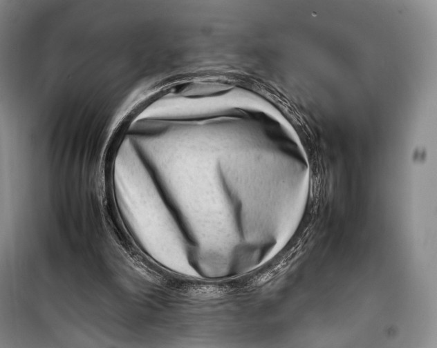 X0000098220198200805151325