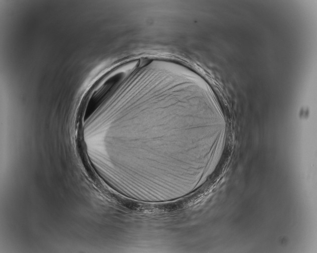 X0000098220199200805151325