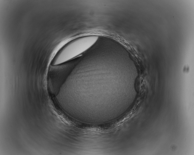 X0000098220200200805151325