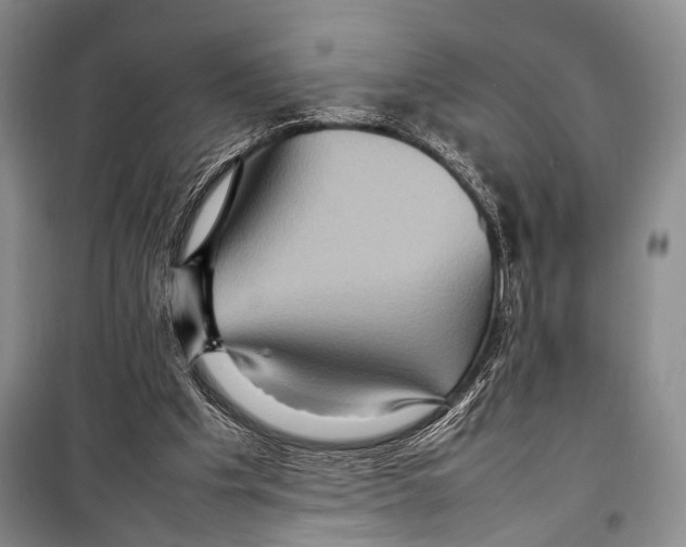 X0000098220201200805151325