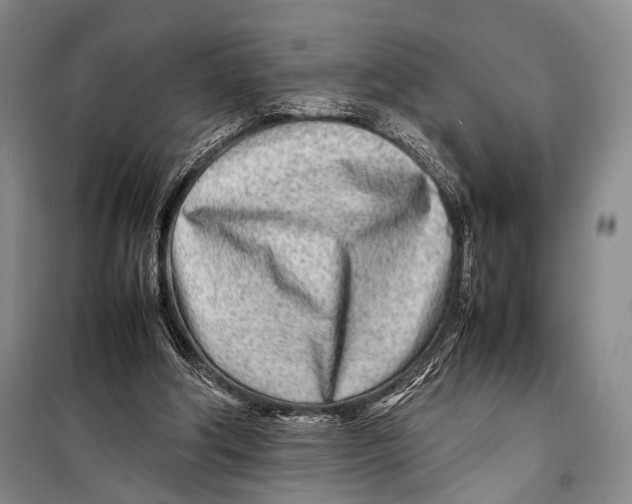 X0000098220202200805151325