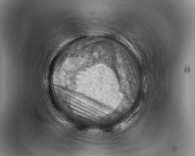 X0000098220203200805151325