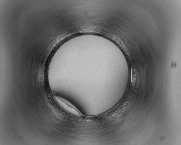 X0000098220204200805151325