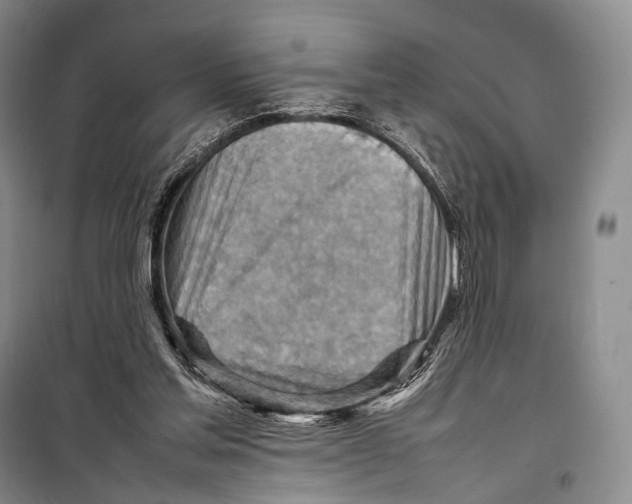 X0000098220205200805151325