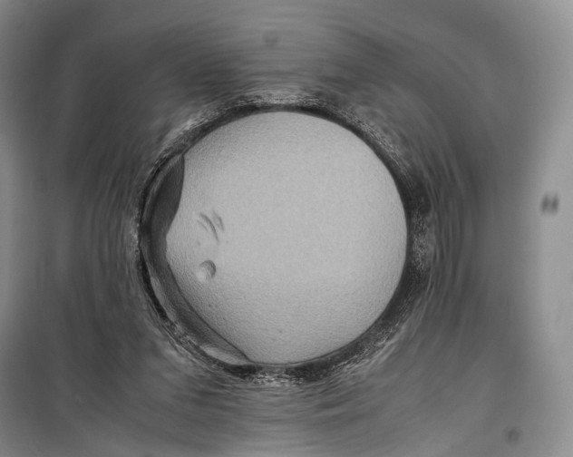 X0000098220207200805151325