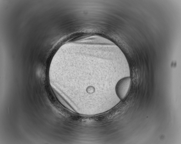 X0000098220208200805151325