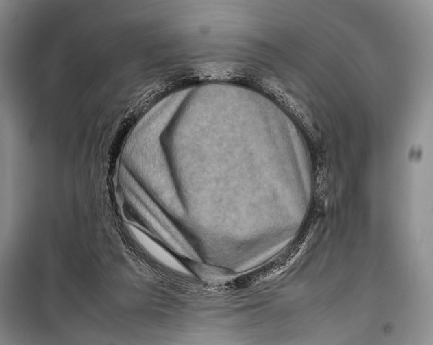 X0000098220209200805151325