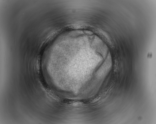 X0000098220210200805151325