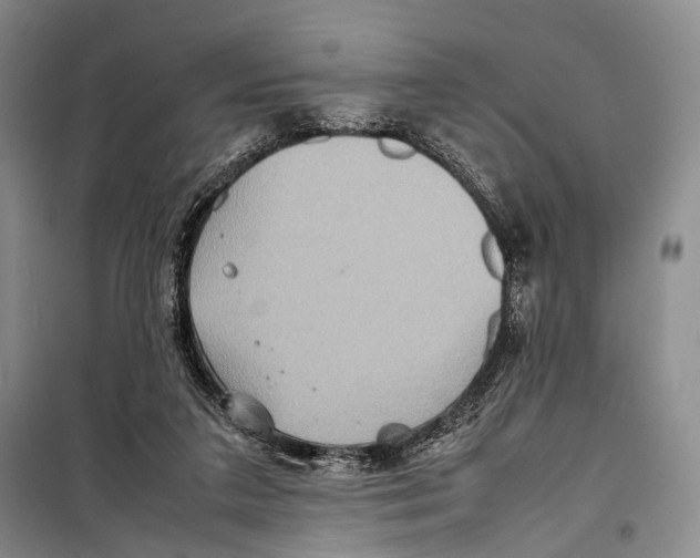 X0000098220211200805151325