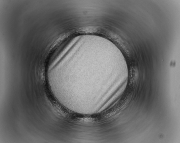 X0000098220212200805151325