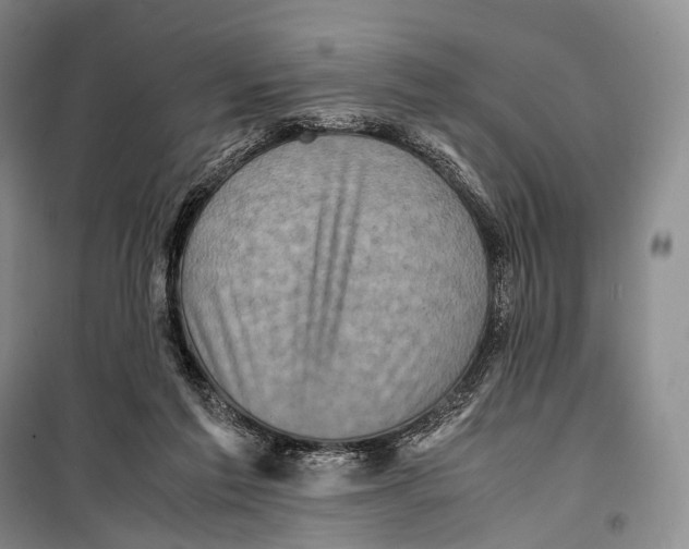 X0000098220213200805151325