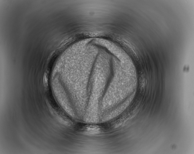 X0000098220214200805151325