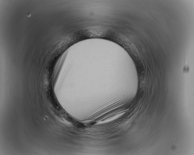 X0000098220215200805151325