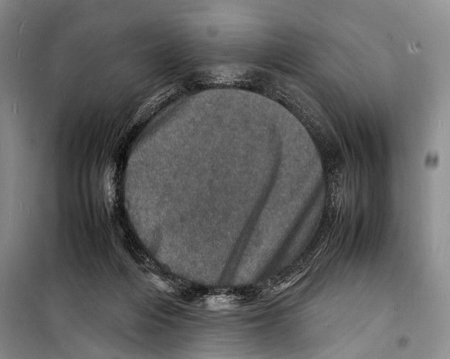 X0000098220216200805151325