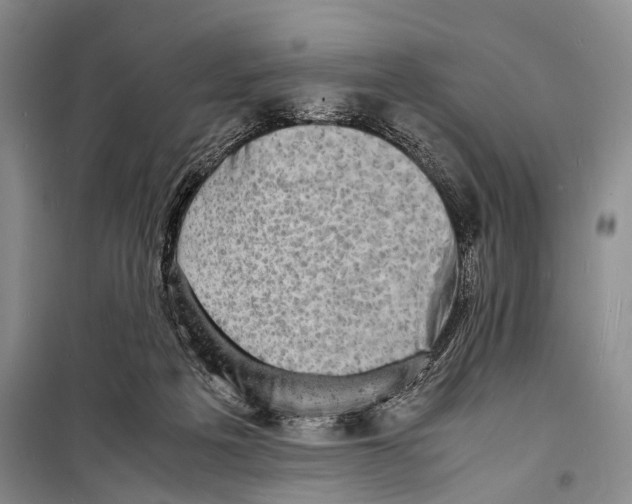 X0000098220217200805151325