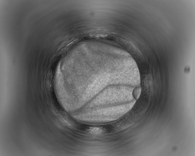 X0000098220218200805151325