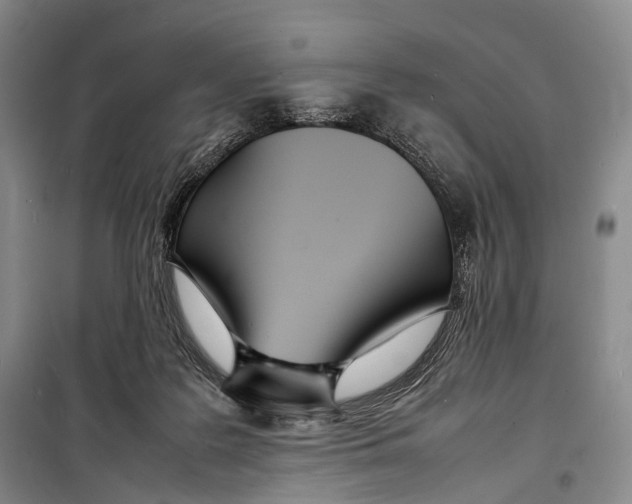 X0000098220219200805151325