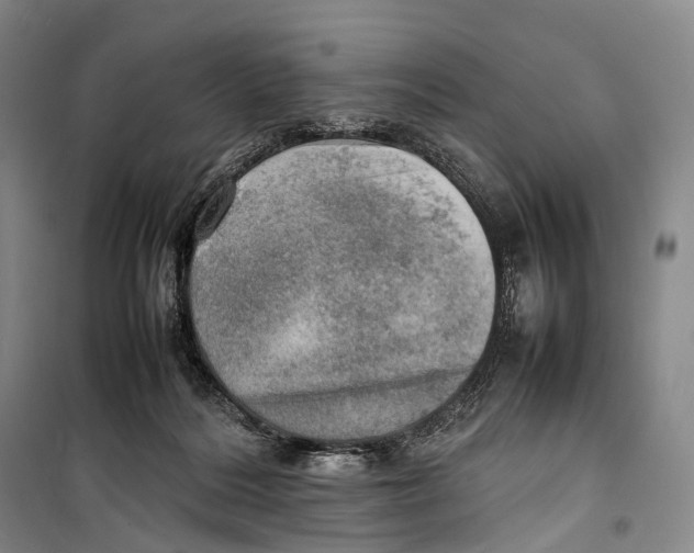 X0000098220220200805151325