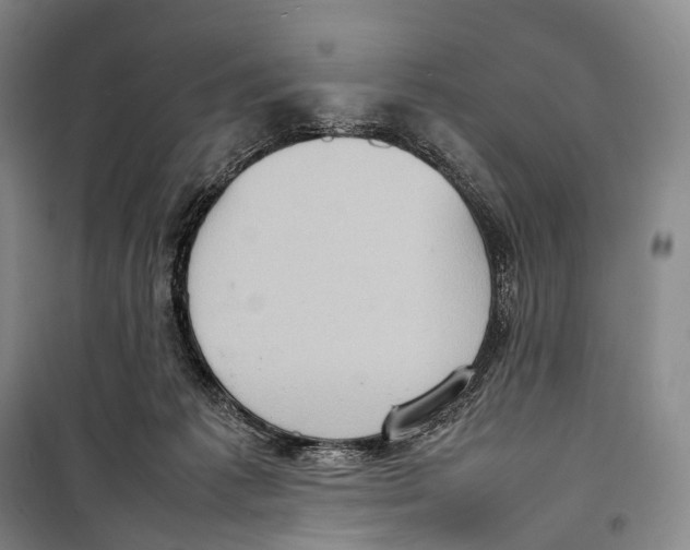 X0000098220221200805151325