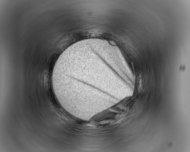 X0000098220222200805151325