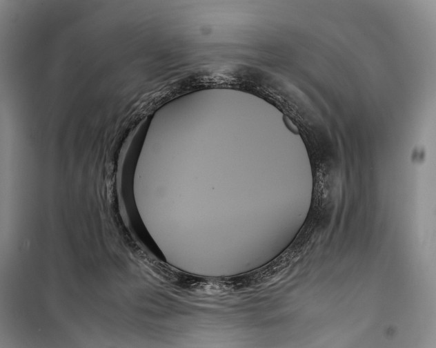 X0000098220223200805151325