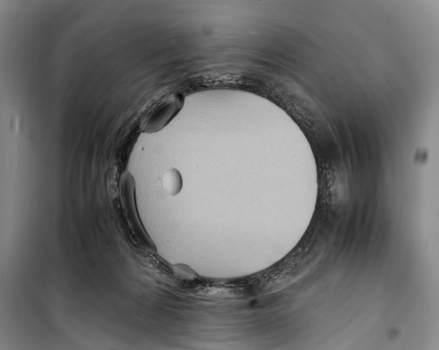 X0000098220224200805151324