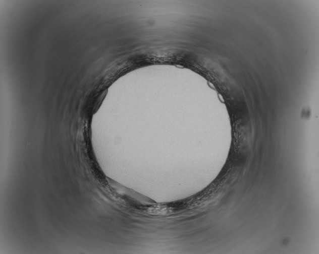 X0000098220225200805151324