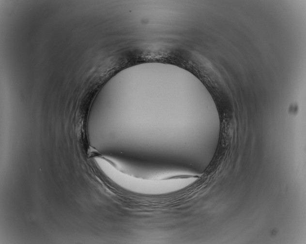 X0000098220227200805151324