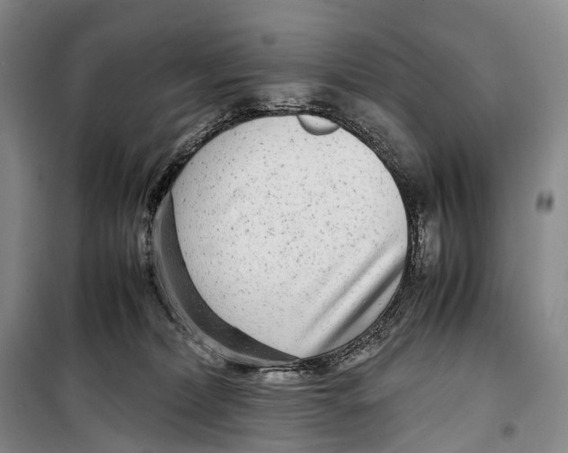 X0000098220228200805151324