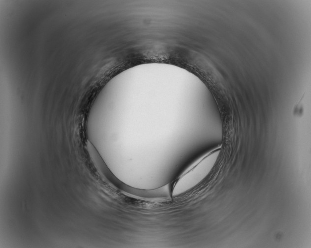 X0000098220229200805151324