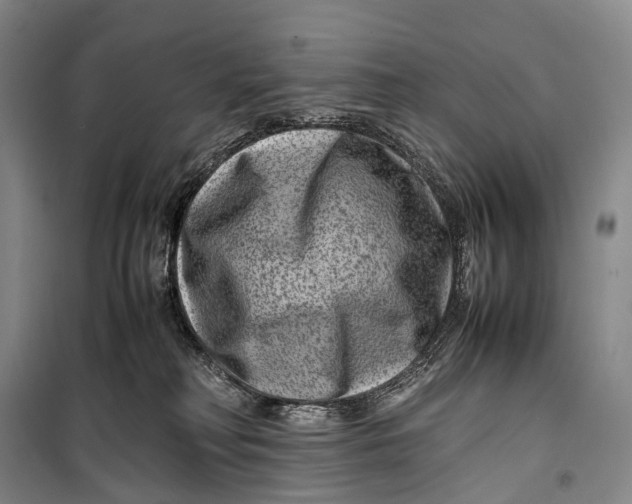 X0000098220230200805151324