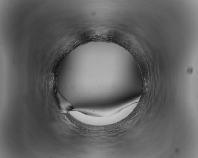 X0000098220231200805151324