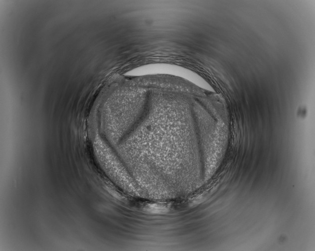 X0000098220232200805151324