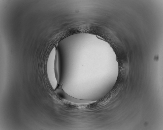 X0000098220233200805151324