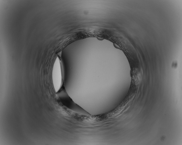 X0000098220235200805151324