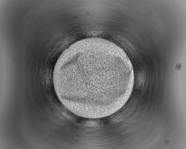 X0000098220236200805151324