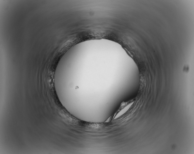 X0000098220237200805151324