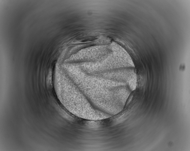 X0000098220238200805151324