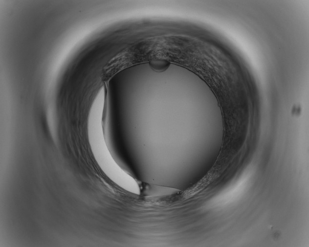 X0000098220239200805151324