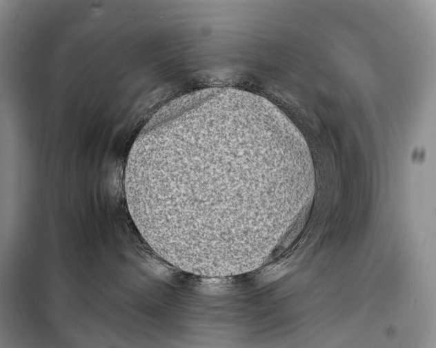 X0000098220240200805151324