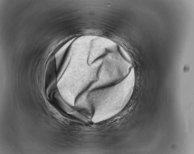 X0000098220241200805151324