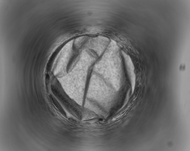 X0000098220242200805151324