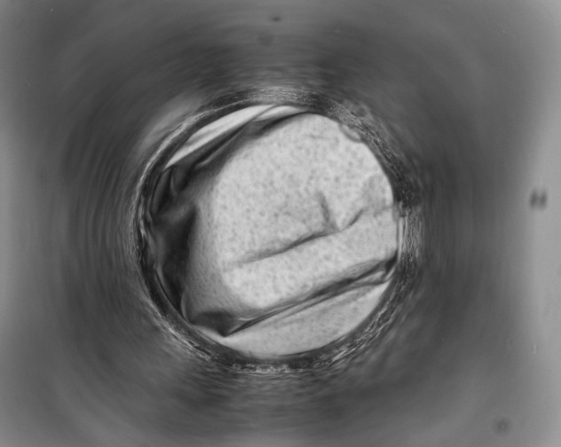 X0000098220243200805151324