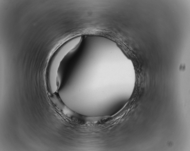 X0000098220244200805151324