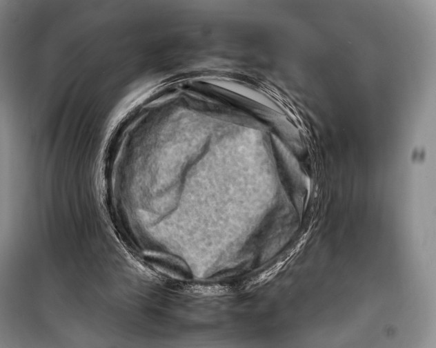 X0000098220245200805151324